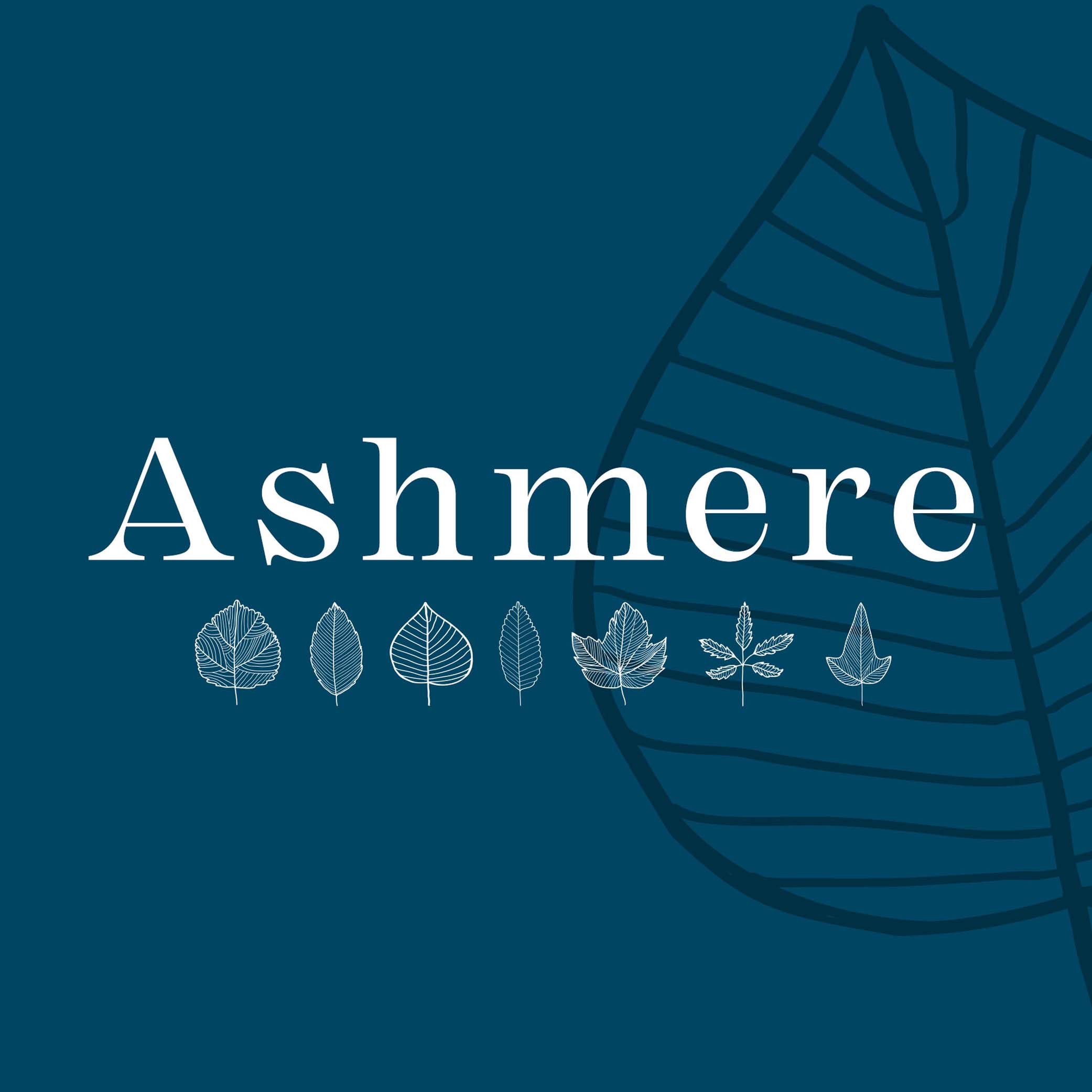 Brand Design: Ashmere Brand Identity