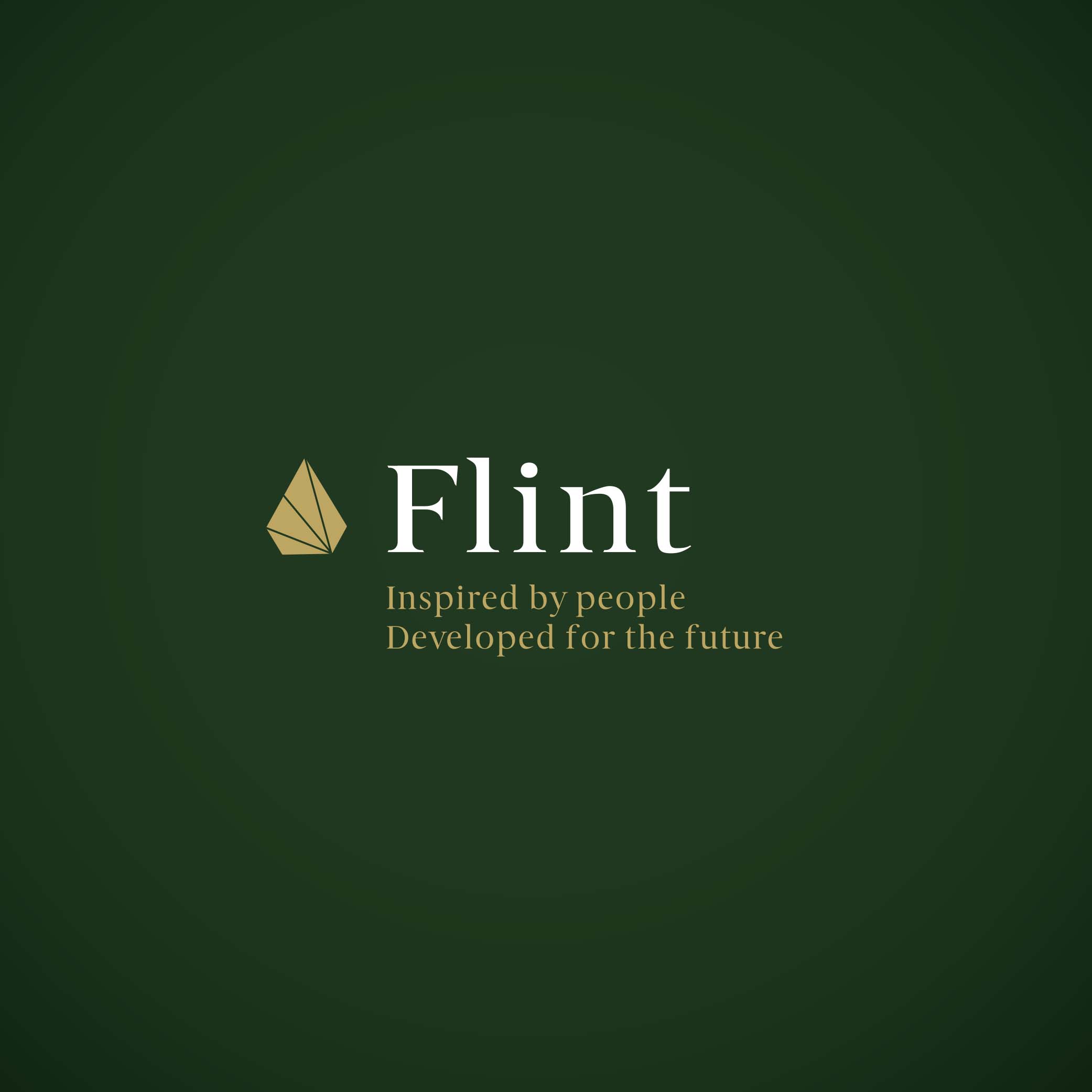 Brand Specialists: Flint Brand Strategy Visual