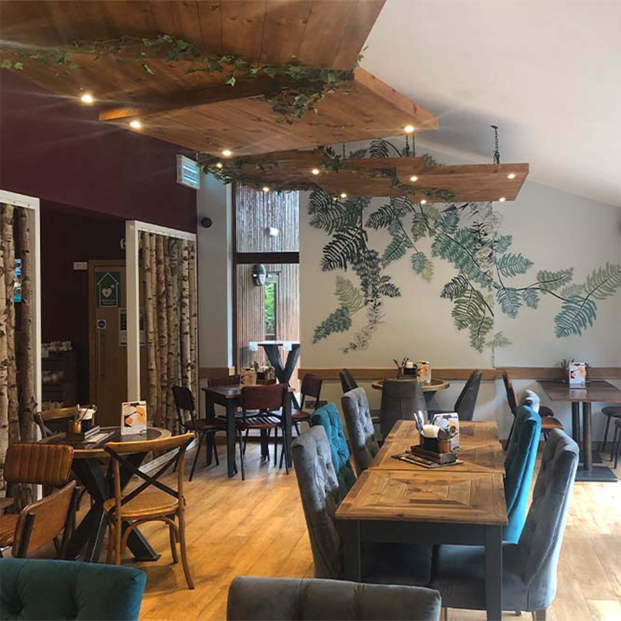 Cafe Design: Forest Holidays Cafe Space
